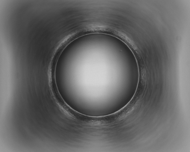 X0000113300629200909141248