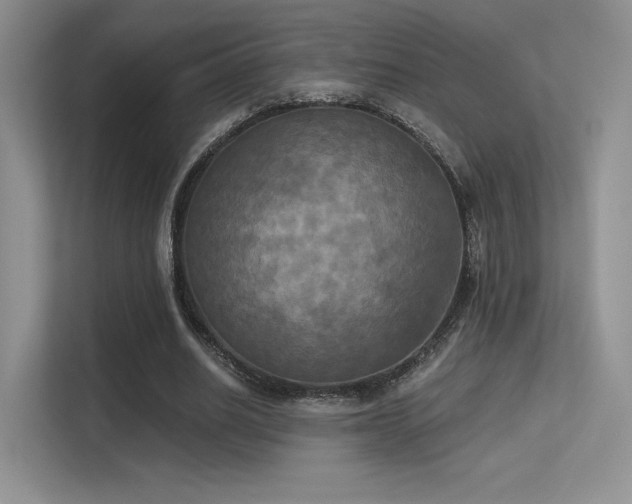 X0000113300630200909141248