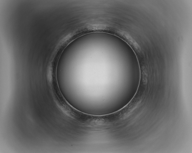 X0000113300631200909141248