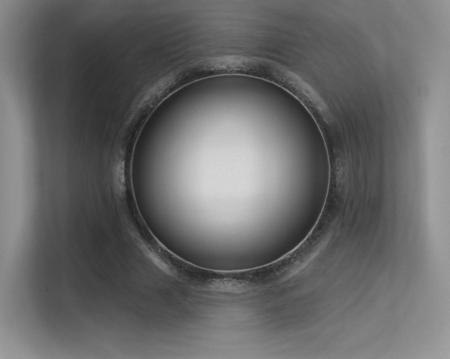 X0000113300633200909141248
