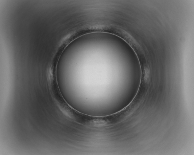 X0000113300636200909141248