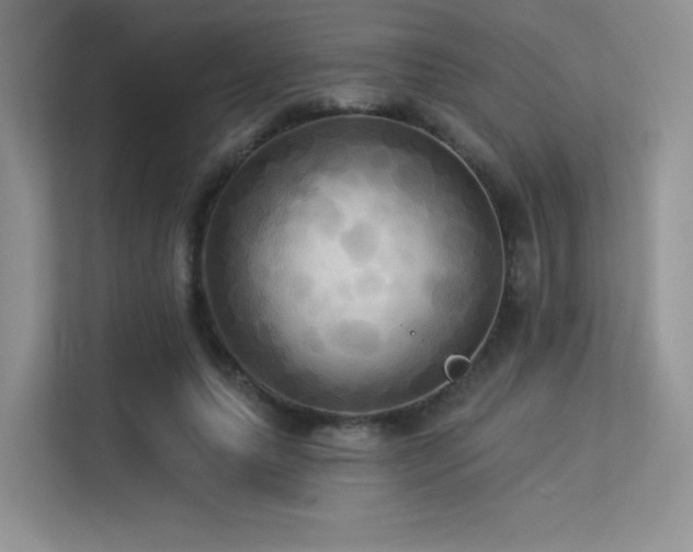 X0000113300639200909141248