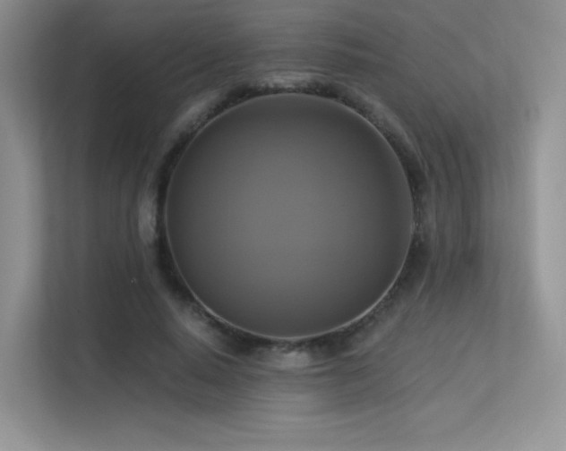 X0000113300640200909141248