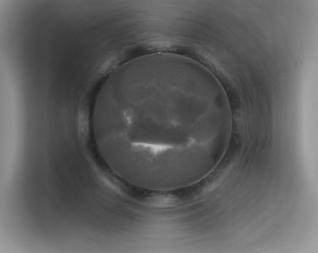 X0000113300642200909141248