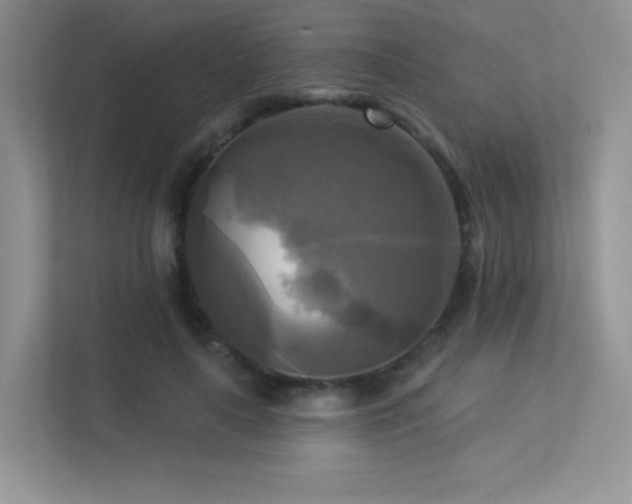 X0000113300643200909141248