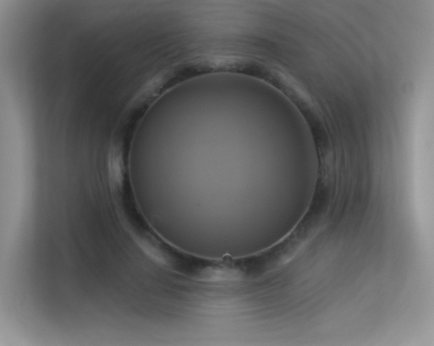 X0000113300644200909141248