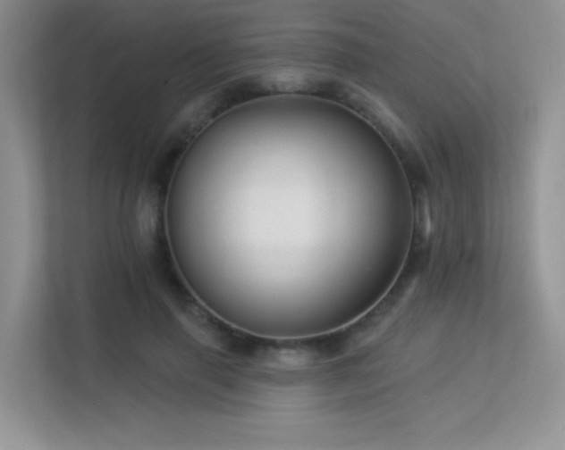 X0000113300645200909141248