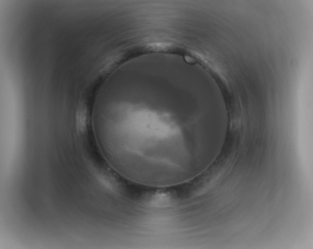 X0000113300647200909141248