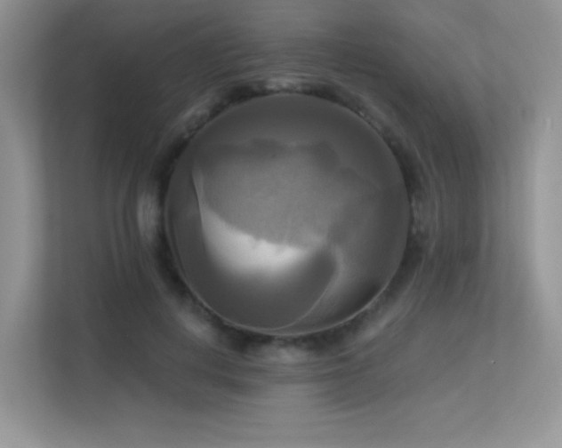 X0000113300648200909141248