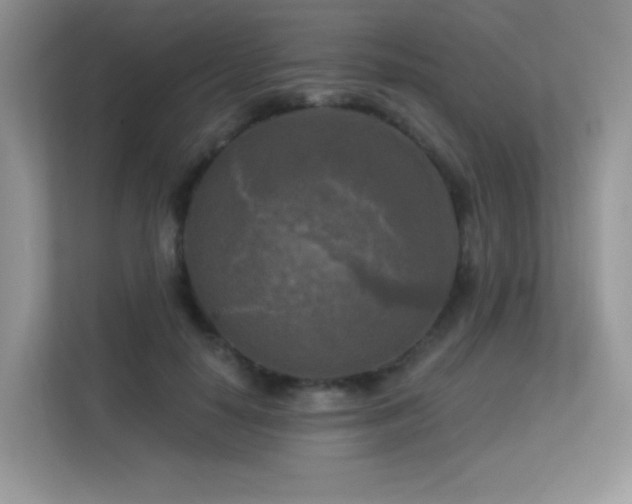 X0000113300650200909141248