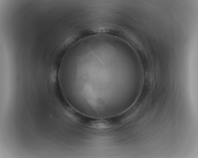 X0000113300652200909141248
