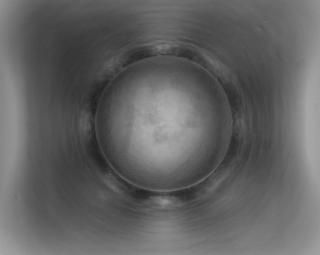X0000113300654200909141248