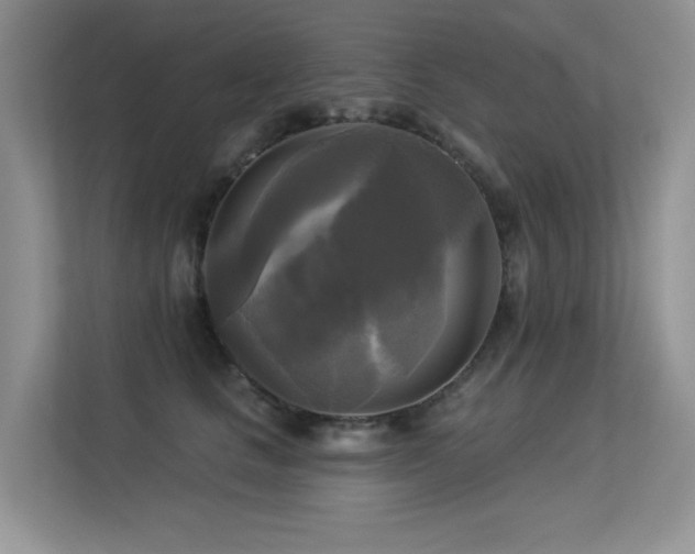 X0000113300661200909141248