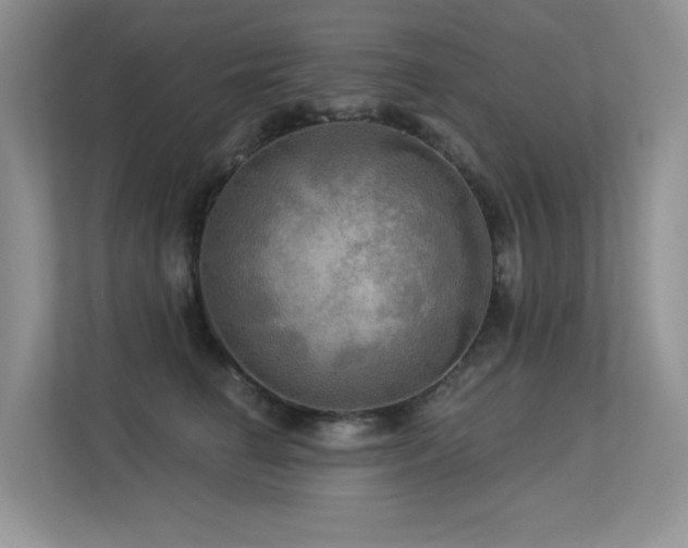 X0000113300662200909141248