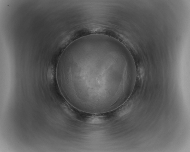 X0000113300664200909141248