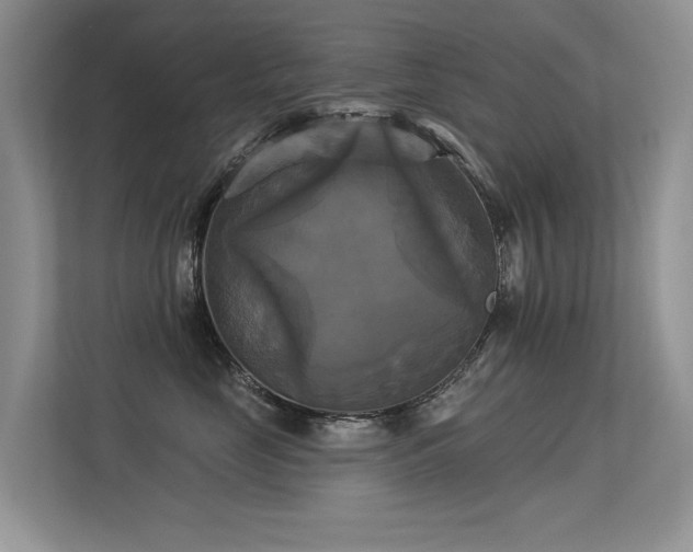 X0000113300669200909141248