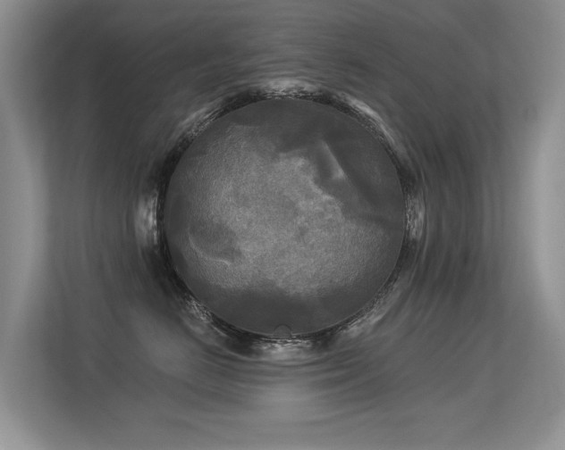 X0000113300670200909141248
