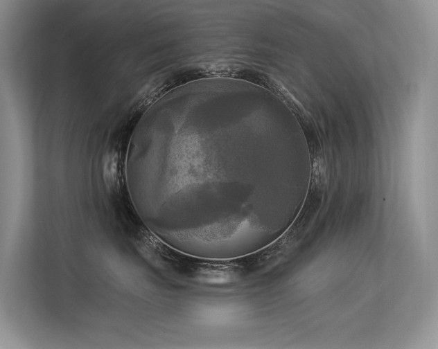 X0000113300671200909141248