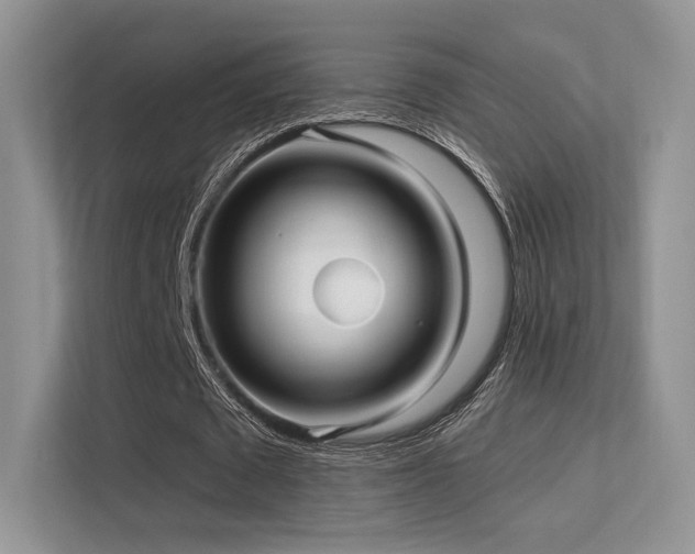 X0000113300673200909141248