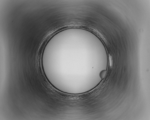 X0000113300675200909141248