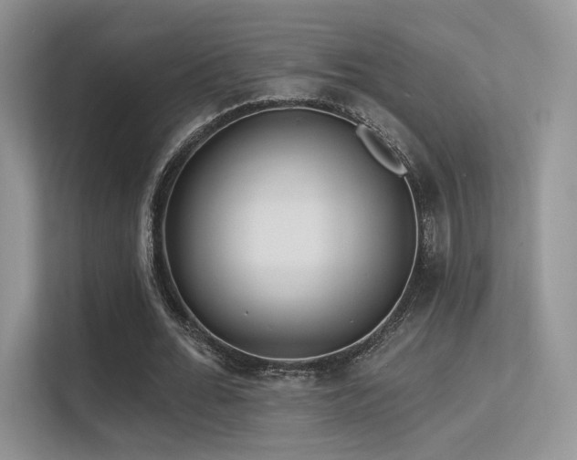 X0000113300676200909141248