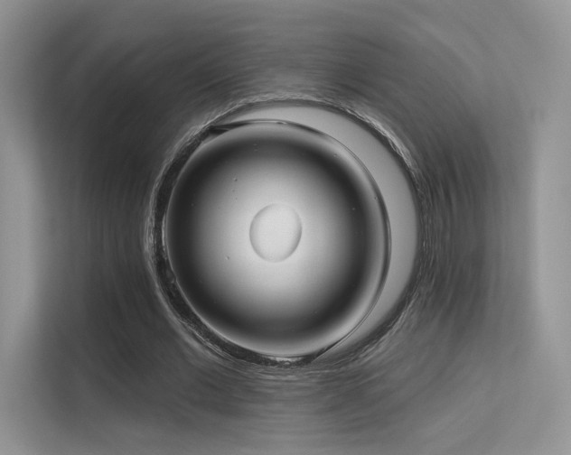 X0000113300677200909141248