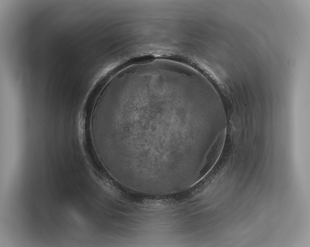 X0000113300679200909141248