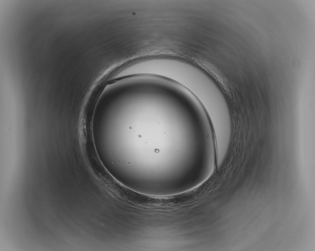 X0000113300680200909141248