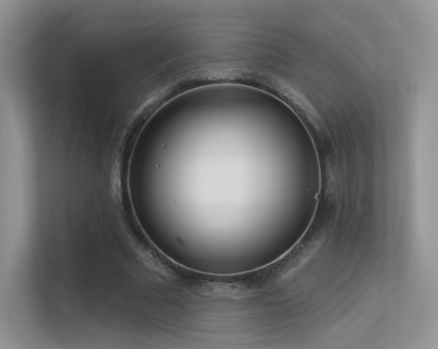 X0000113300681200909141248