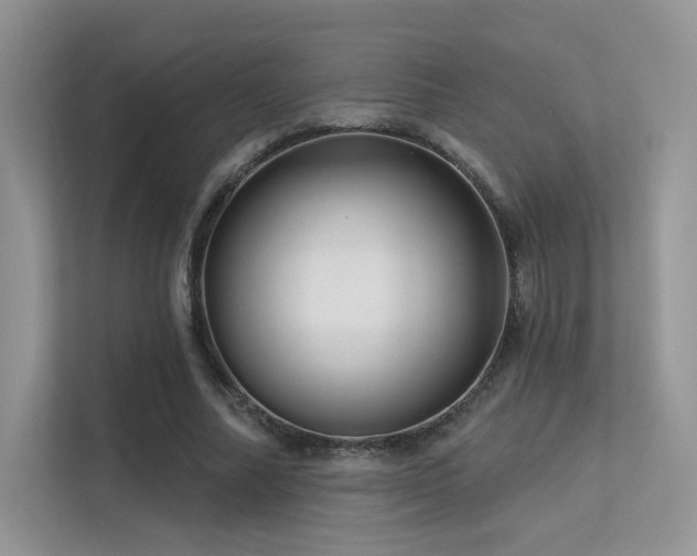 X0000113300682200909141248