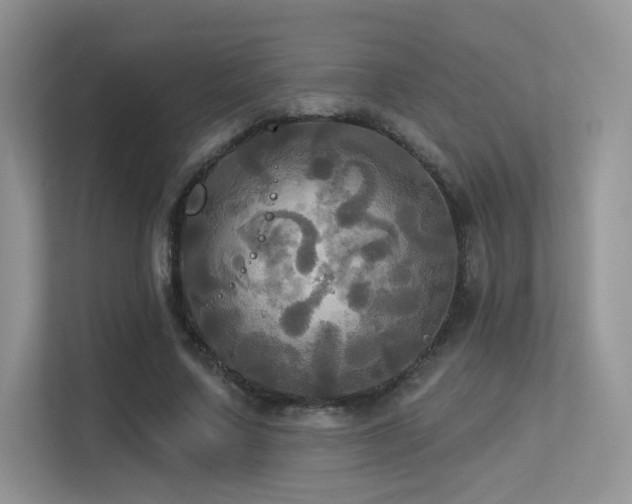 X0000113300683200909141247