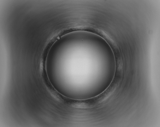 X0000113300685200909141247