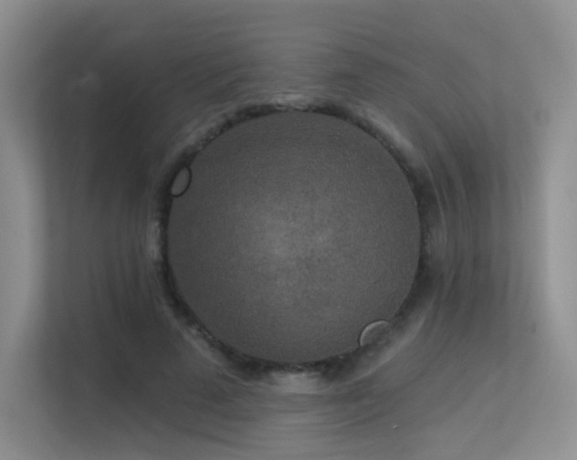 X0000113300689200909141247