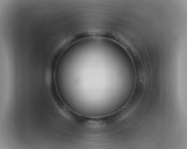 X0000113300690200909141247