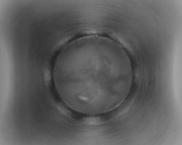 X0000113300691200909141247