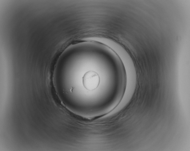 X0000113300693200909141247