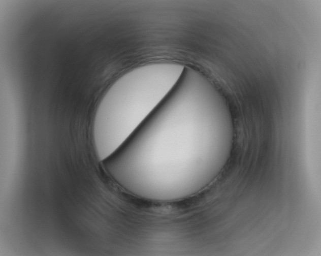 X0000113300695200909141247