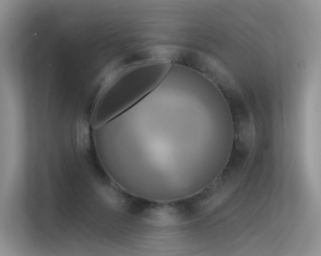 X0000113300696200909141247