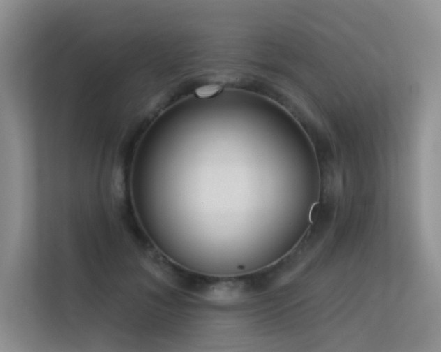 X0000113300700200909141247