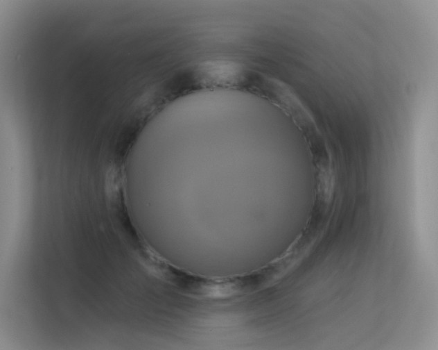 X0000113300701200909141247