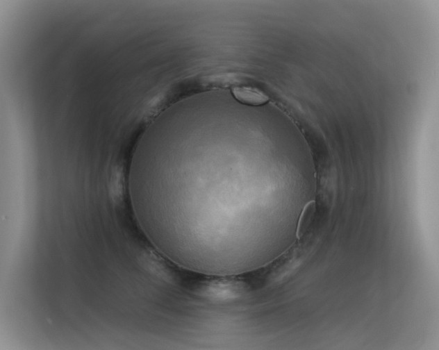 X0000113300708200909141247