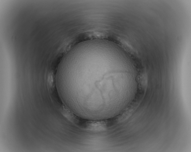 X0000113300709200909141247