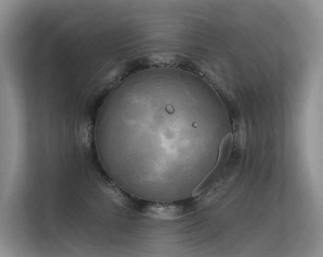 X0000113300712200909141247