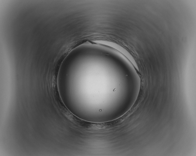 X0000113300713200909141247