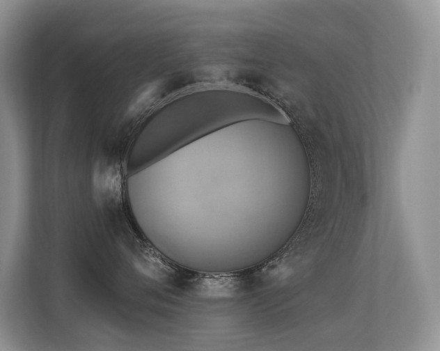 X0000113300720200909141247