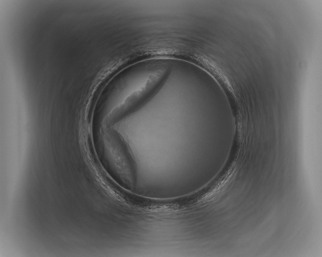 X0000113300721200909141246