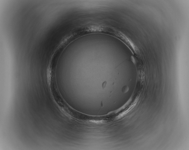 X0000113300722200909141246