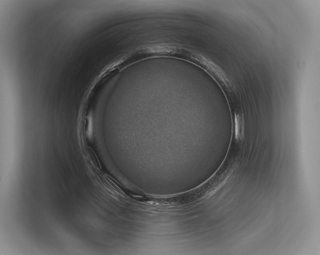 X0000113300723200909141246