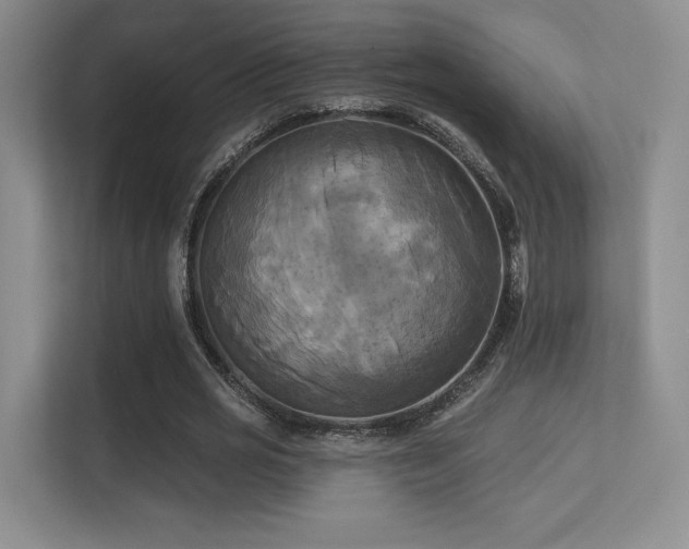 X0000113300725200909141246