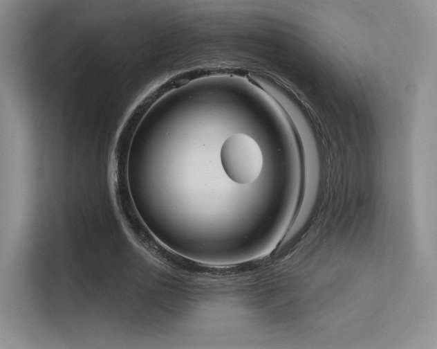 X0000113300726200909141246